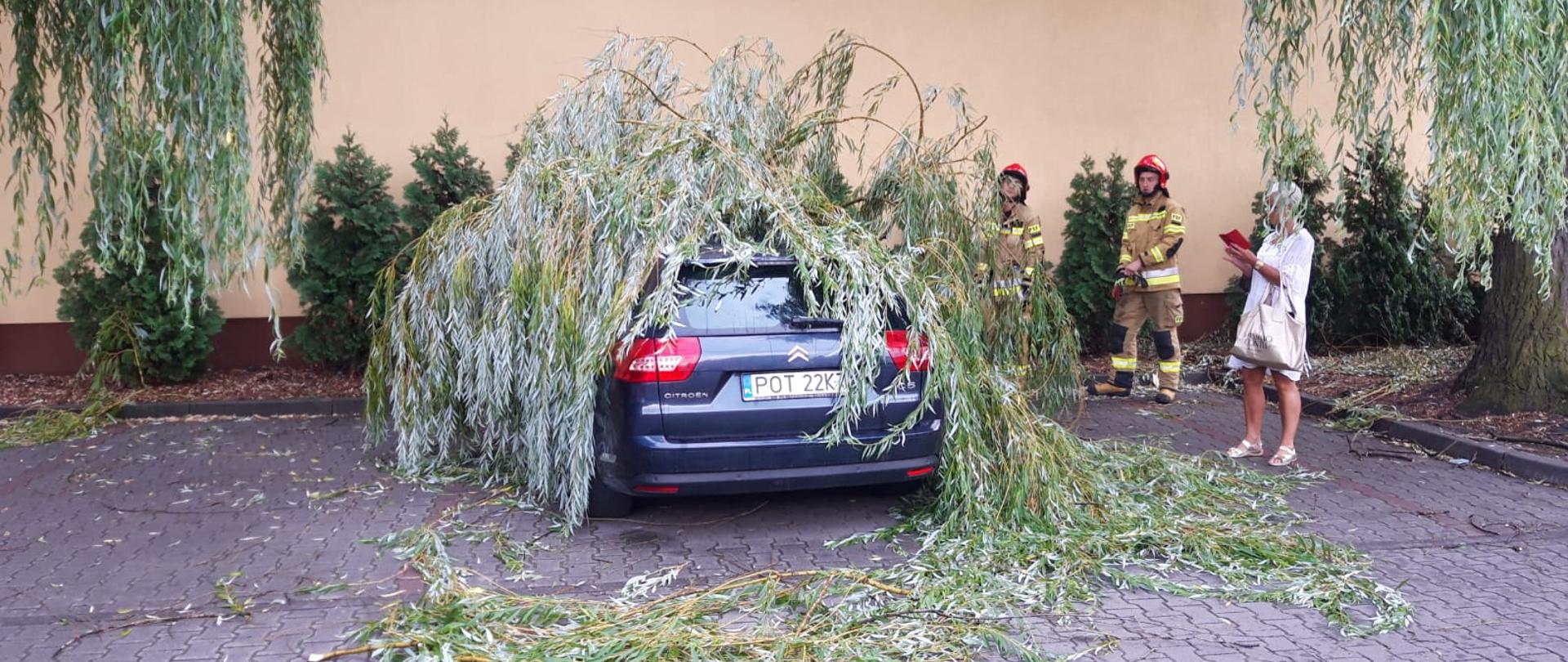 Zdjęcie przedstawia akcję ratowniczą strażaków podczas działań związanych z usuwaniem skutków burzy. Na zdjęciu widzimy powalone konary drzew na samochód osobowy oraz ratowników, którzy przystępują do jego usunięcia. Zdjęcie zrobione w porze dziennej na parkingu.