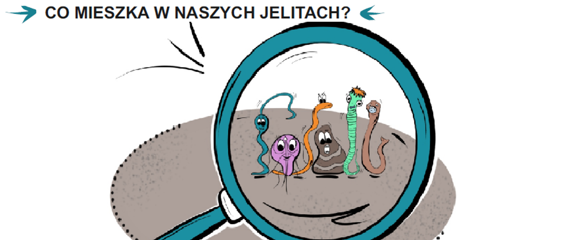 grafika przedstawiająca elementy okładki broszury. Napis: Co mieszka w naszych jelitach? Lupa a przez nią widać postaci rysunkowe kolorowych bakterii i pasożytów.