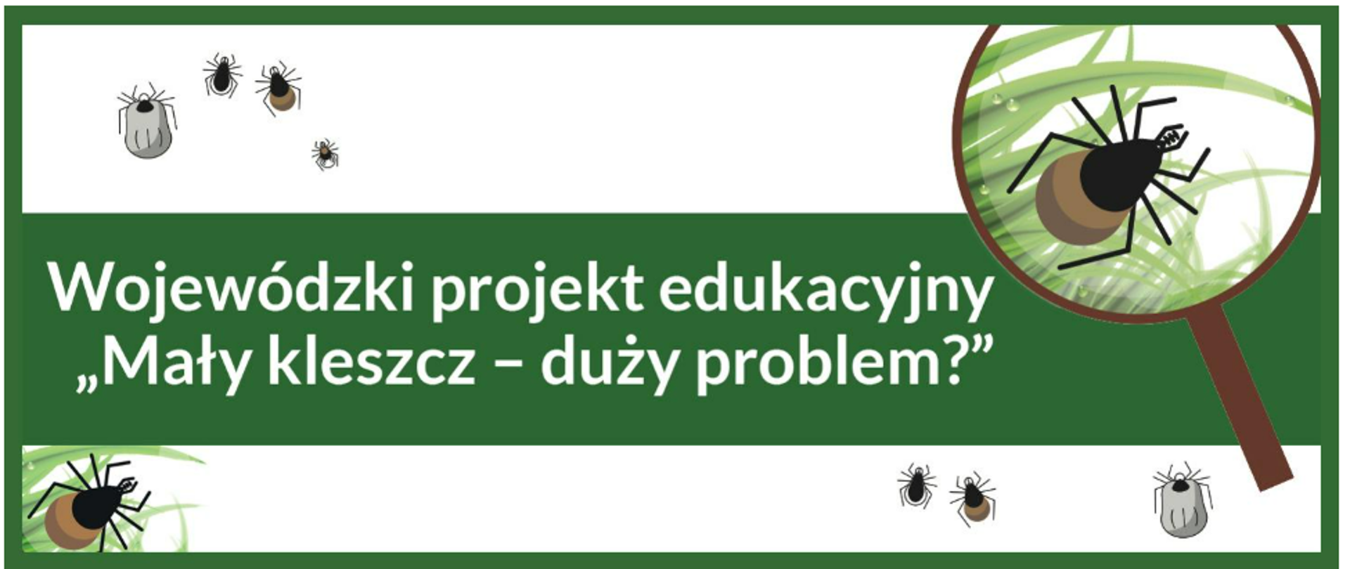 mały kleszcz