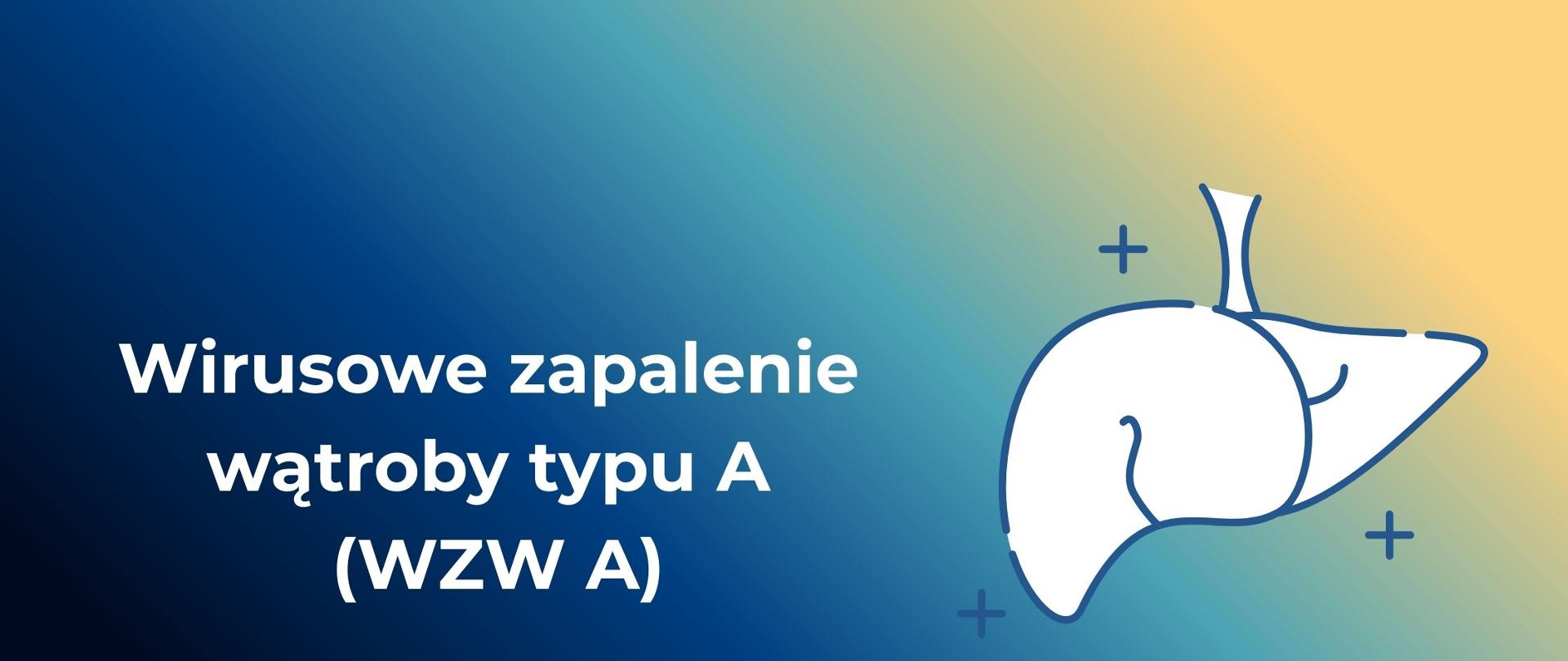 WIRUSOWE ZAPALENIE WĄTROBY TYPU A