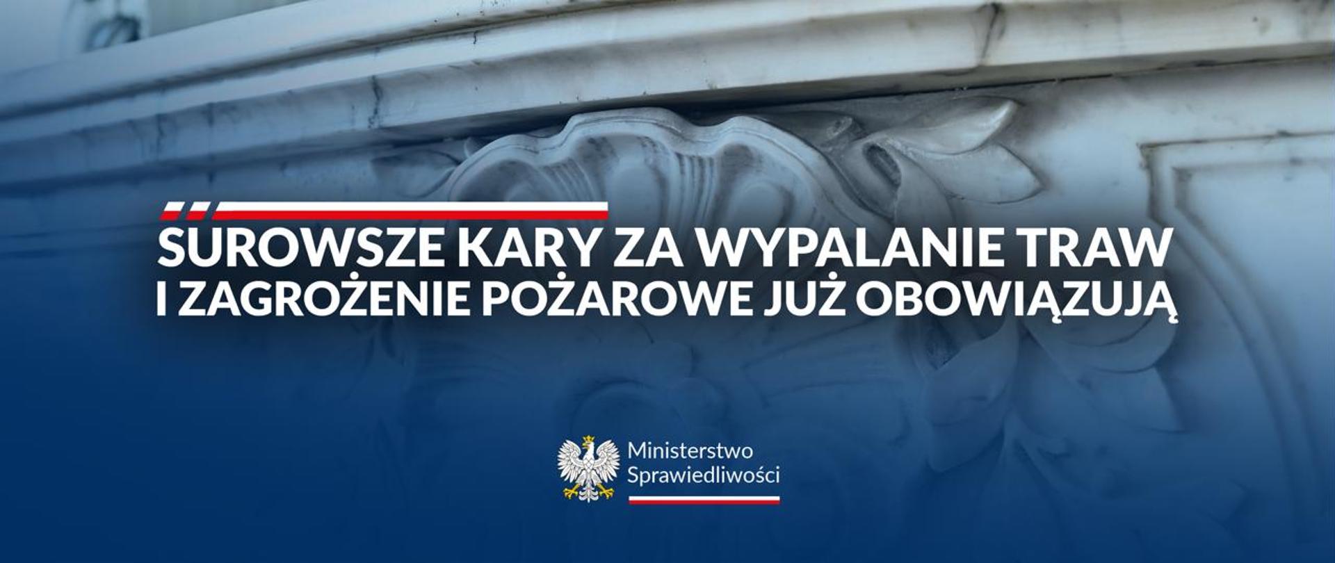 Surowsze kary za wypalanie traw i zagrożenie pożarowe już obowiązują
