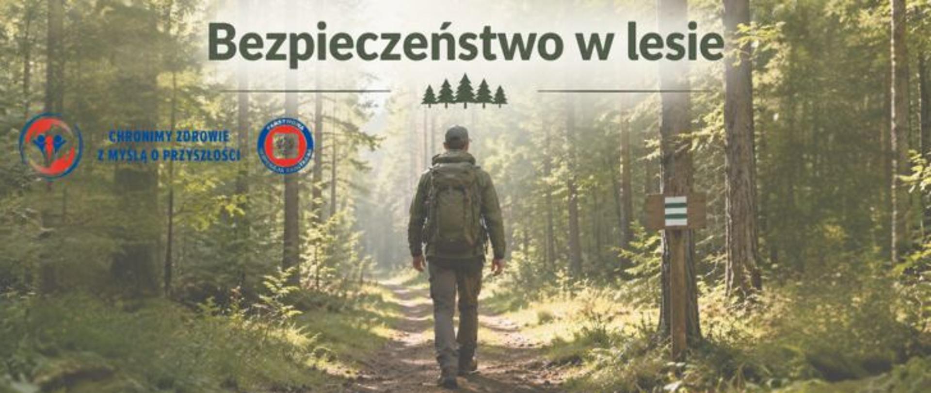 Baner przedstawiający turystę z plecakiem idącego leśną ścieżką wśród wysokich drzew oświetlonych promieniami słońca. U góry znajduje się tytuł „Bezpieczeństwo w lesie”. Po lewej stronie logo Państwowej Inspekcji Sanitarnej wraz z hasłem: Chronimy zdrowie z myślą o przyszłości. 
