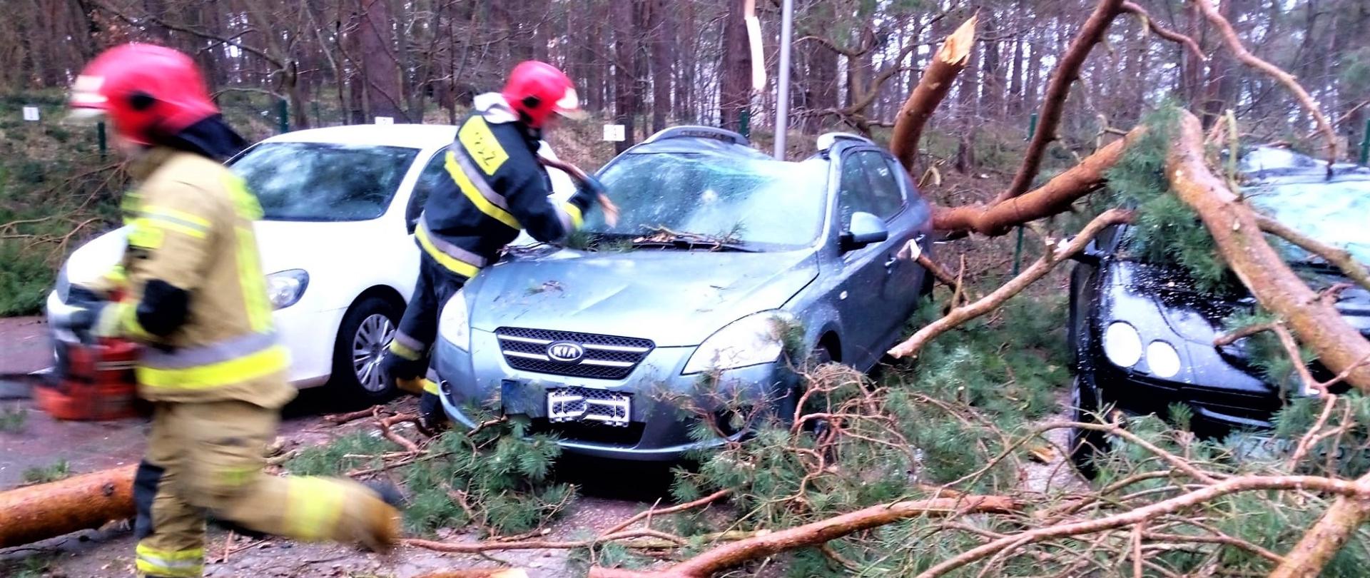 3 samochody osobowe na parkingu, z czego 2 uszkodzone przez złamany konar sosny. Dwóch strażaków w mundurach bojowych bierze udział w usuwaniu konaru.