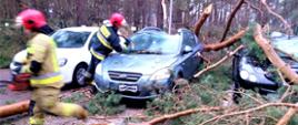 3 samochody osobowe na parkingu, z czego 2 uszkodzone przez złamany konar sosny. Dwóch strażaków w mundurach bojowych bierze udział w usuwaniu konaru.