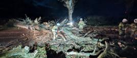 Fotografia przedstawia strażaków pracujących przy dużym powalonym drzewie, które zatarasowało drogę. Używany jest sprzęt do cięcia drewna, a teren akcji jest oświetlony reflektorami. W tle widoczne są kolejne drzewa uszkodzone przez wiatr. Akcja przebiegała sprawnie dzięki współpracy jednostek OSP i PSP.