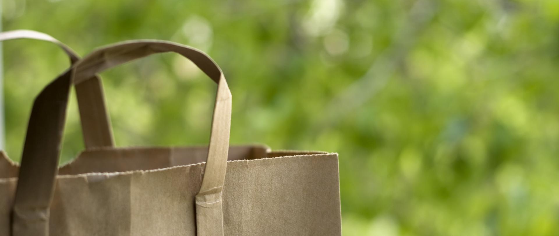 grafika ilustracyjna - torba papierowa