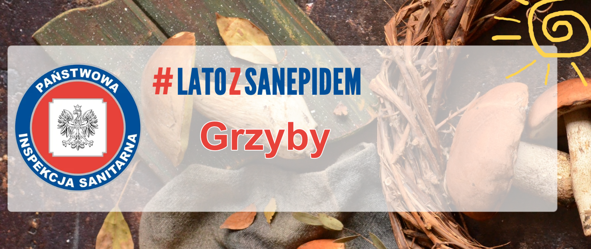 Grafika przedstawia grzyby rozłożone na stole, poniżej znajduje się napis : # lato z Sanepidem – grzyby , obok napisu logo Inspekcji Sanitarnej