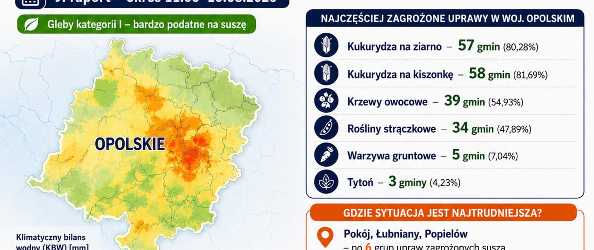 Plakat zawierający raport IUNG-PIB - Susza rolnicza na Opolszczyźnie