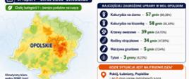 Plakat zawierający raport IUNG-PIB - Susza rolnicza na Opolszczyźnie