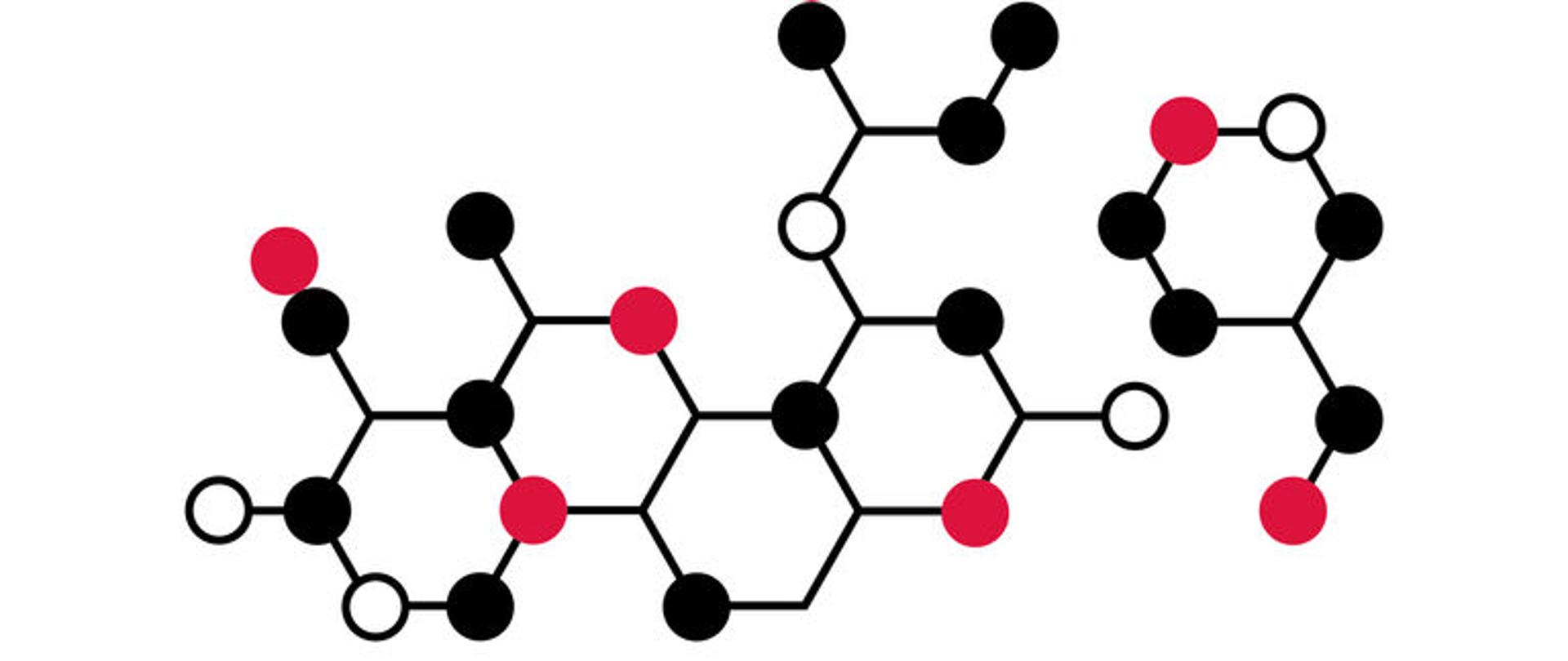 The Lukasiewicz scholarship programme