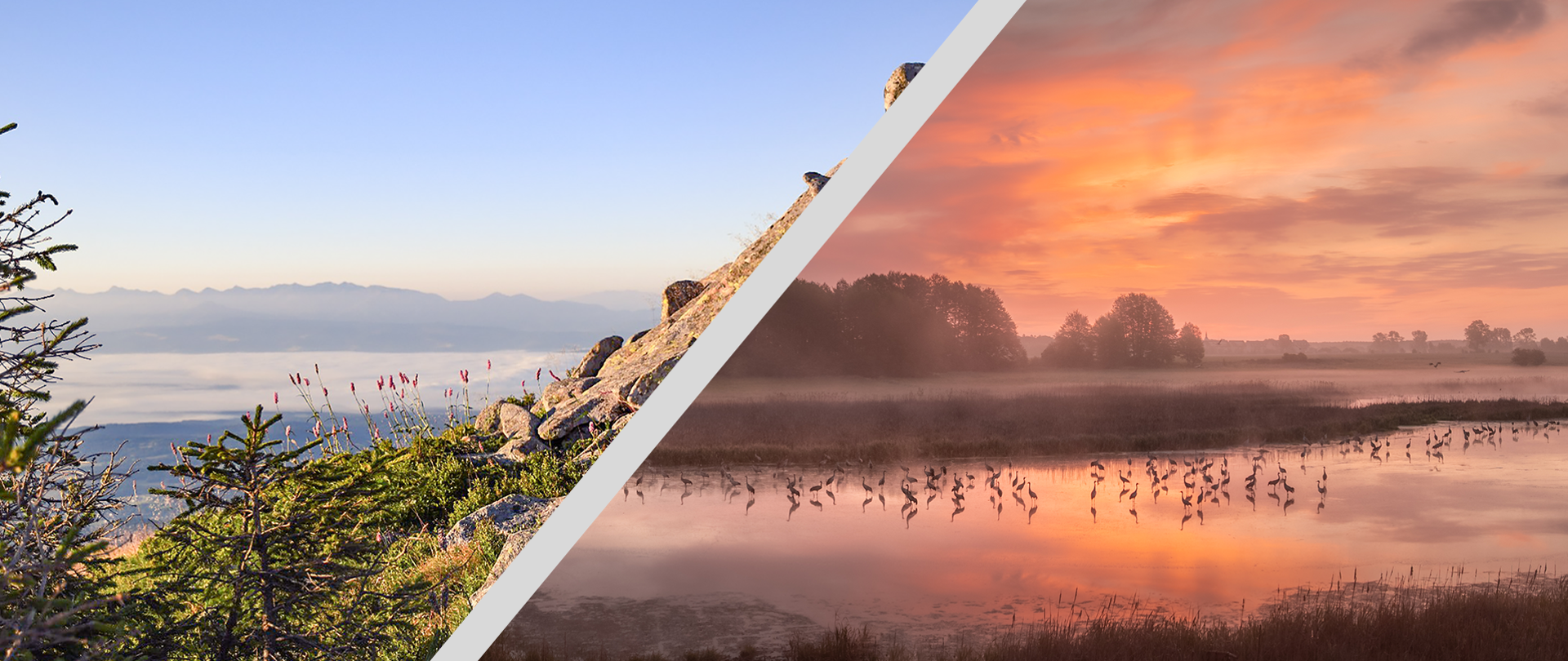 Kolaż składający się z dwóch zdjęć. Zdjęcie z lewej strony przedstawia górski krajobraz, skały i niską roślinność. W oddali widać góry we mgle. Zdjęcie po prawej stronie przedstawia zachód słońca nad jeziorem. Widać sylwetki ptaków, które brodzą w wodzie. 