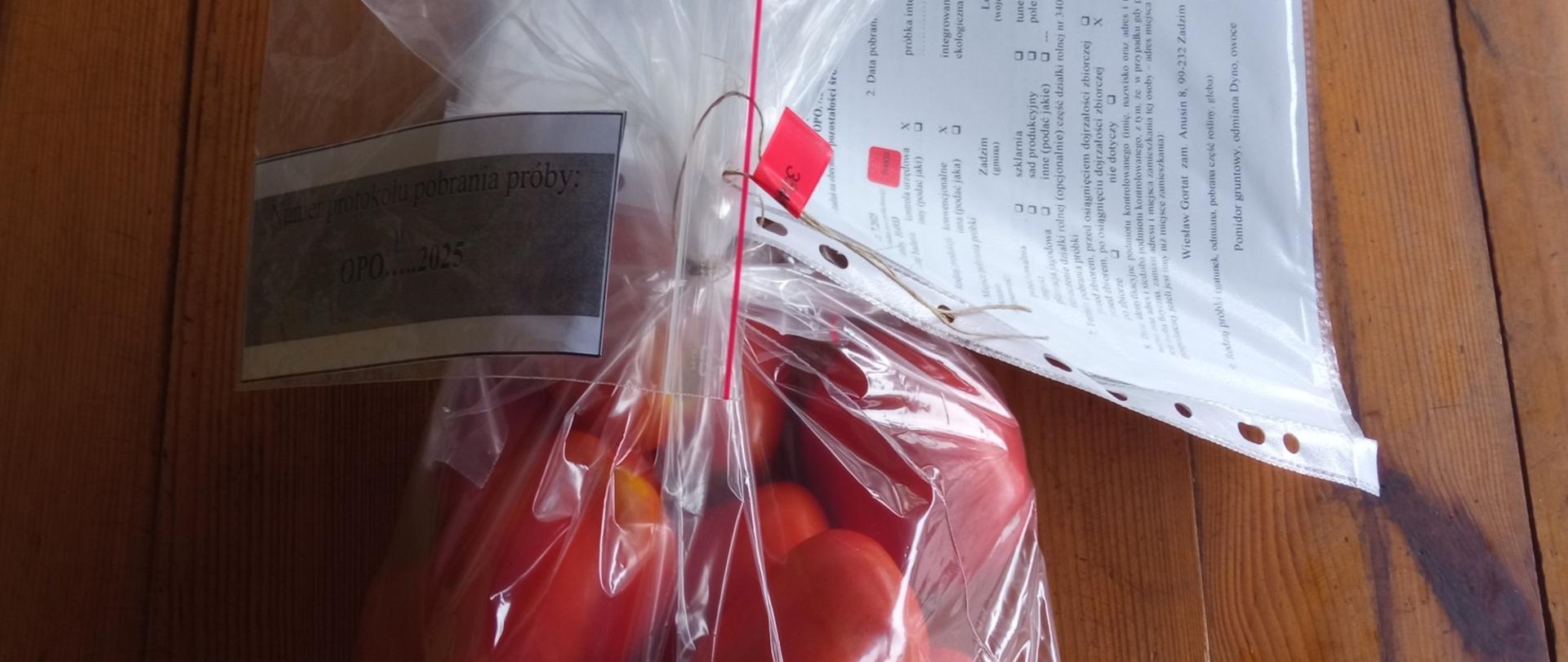 Oznakowana, zaplombowana próba laboratoryjna pomidora gruntowego