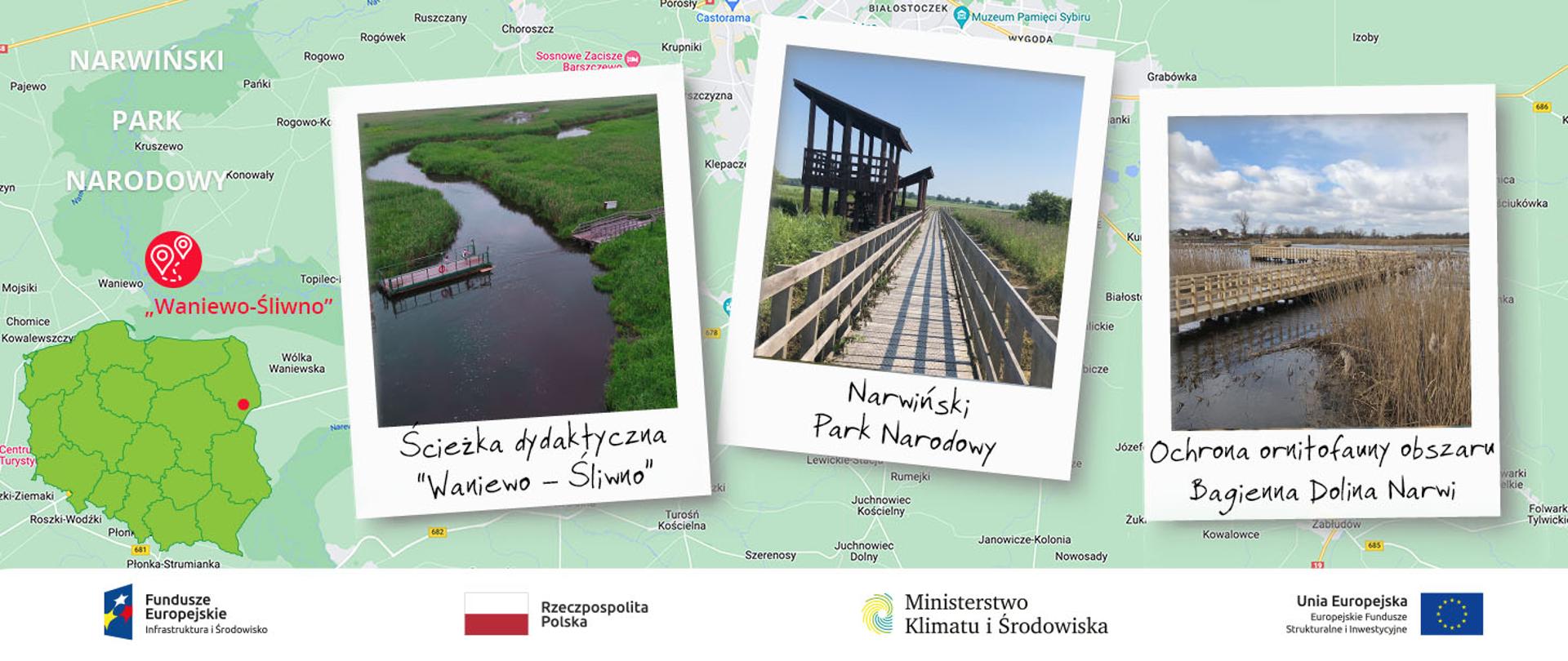 Ochrona ornitofauny obszaru Natura 2000 Bagienna Dolina Narwi PLB 200001 przed nadmierną i niekontrolowaną presją turystów przez modernizację kładki przyrodniczej Waniewo – Śliwno