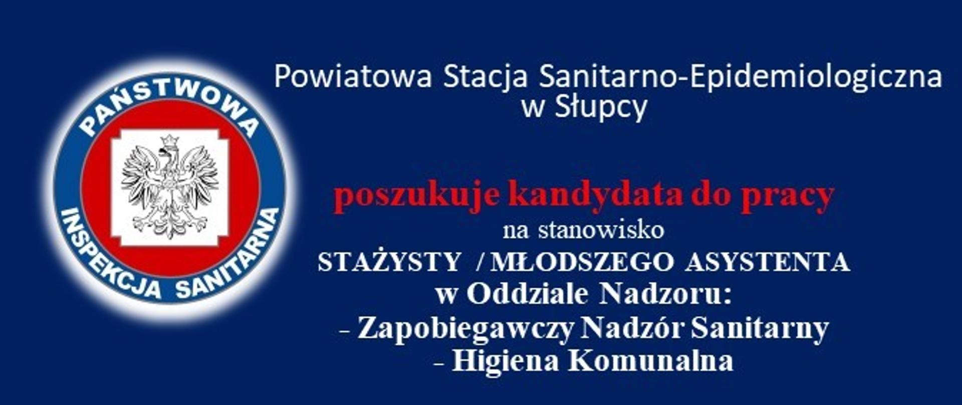 oferta pracy na stanowisko stażysty młodszego asystenta w Oddziale Nadzoru 