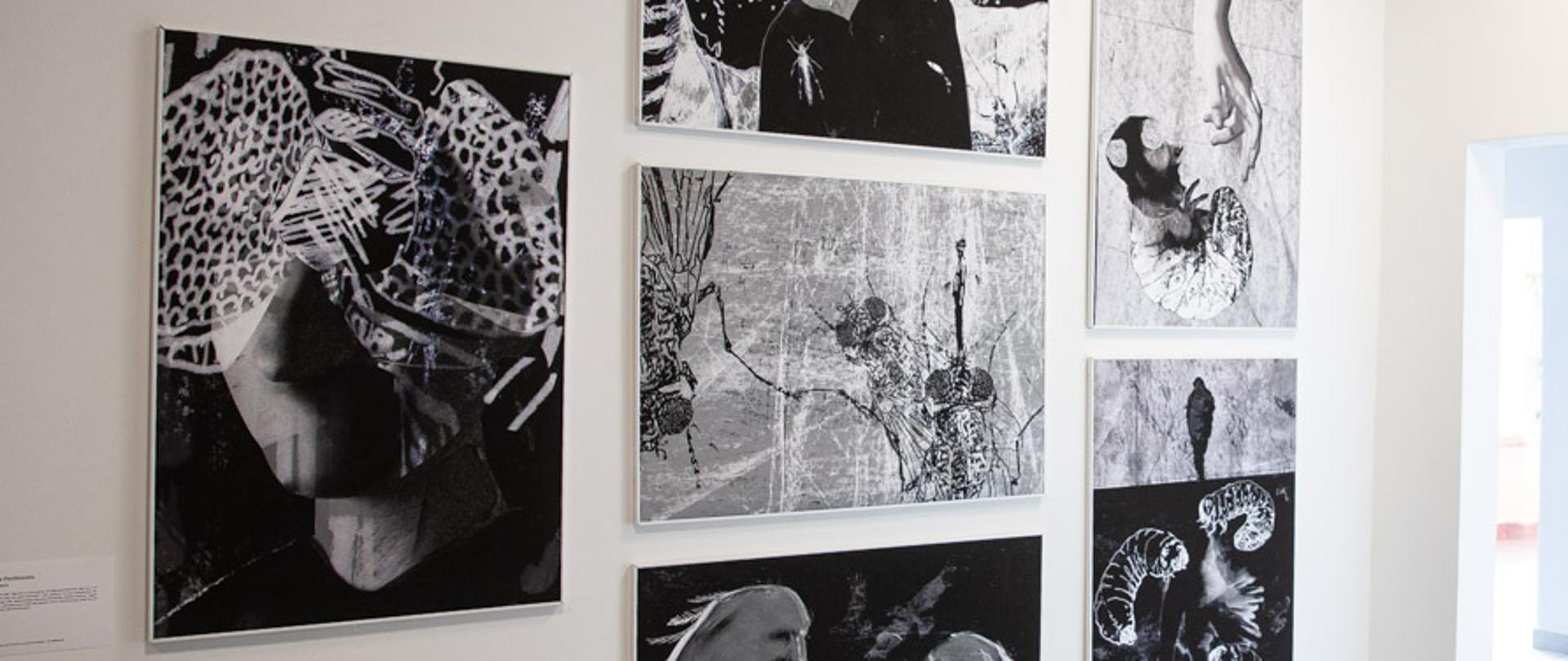 Korytarz w Państwowym Liceum Sztuk Plastycznych im. Wojciecha Kossaka w Łomży. Widoczne fragmenty ekspozycji - prac plastycznych dyplomantów roku 2026.