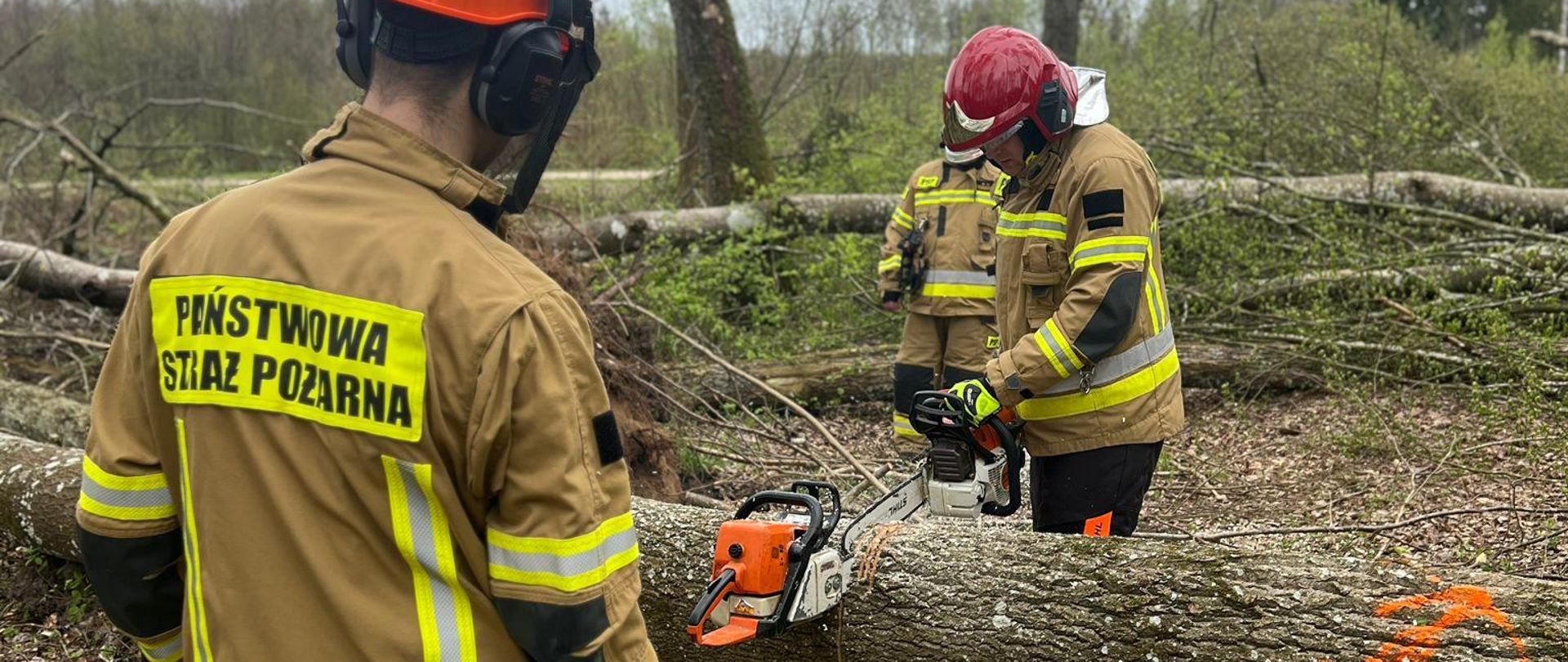 trening uwalniania zaciśniętej przez drzewo pilarki 