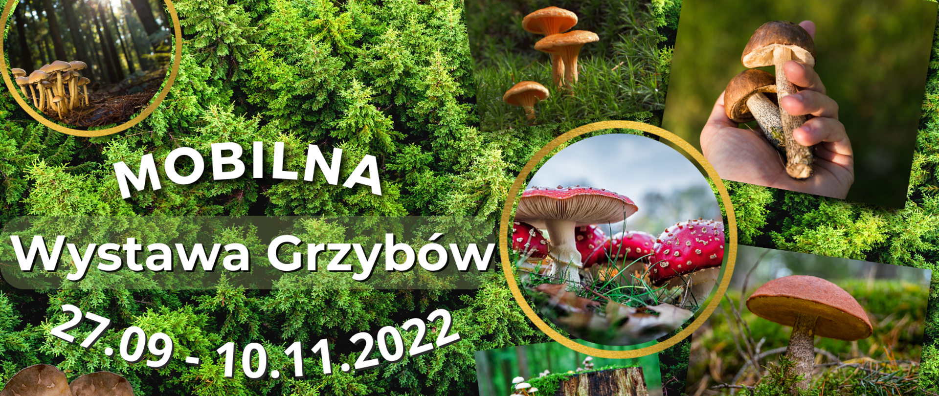 Mobilna Wystawa Grzybów 2022