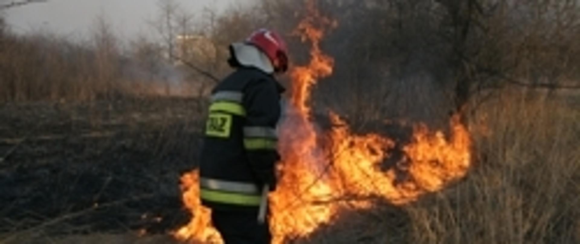 Zdjęcie przedstawia strażaka gaszącego pożar traw tłumicą.