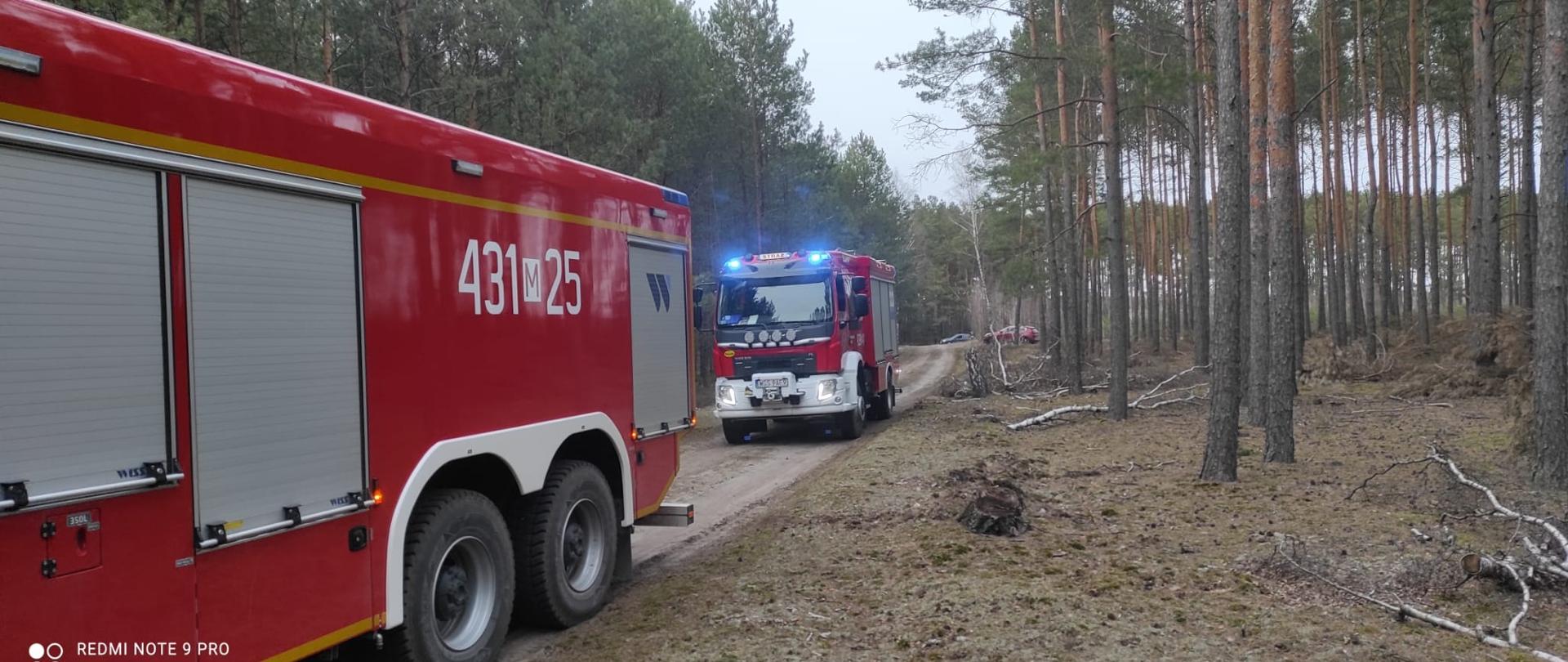 Pożar poszycia leśnego w Budach Kaleńskich