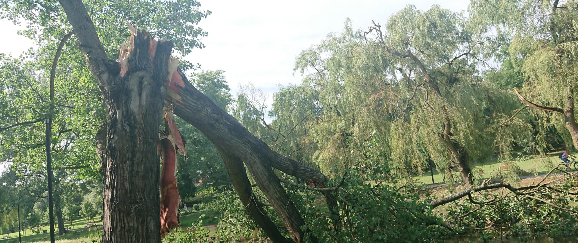 Burze i silne wiatry we Włocławku i powiecie włocławskim