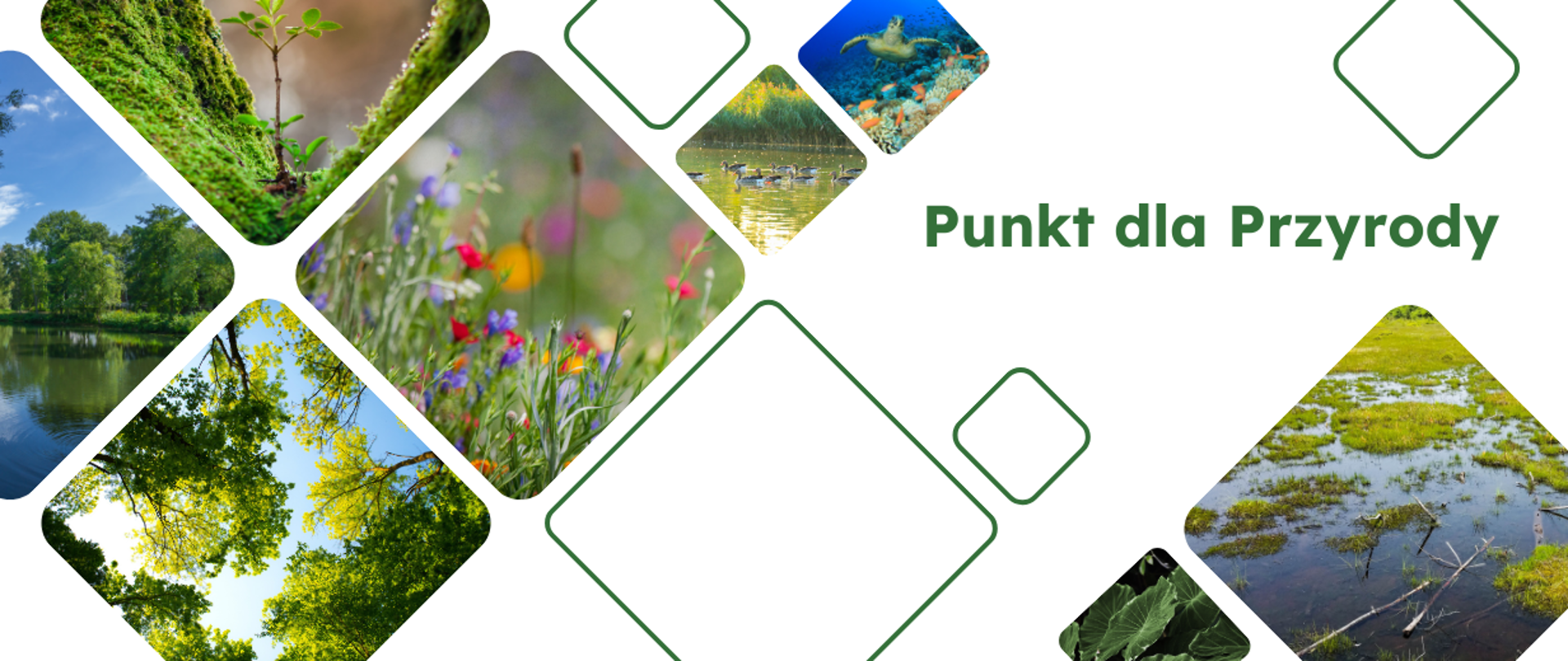 Punkt dla Przyrody