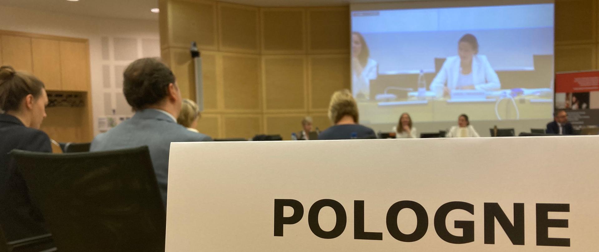 12. posiedzenie Komitetu Stron Konwencji Stambulskiej.