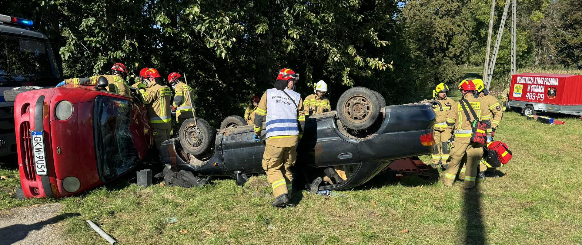 segregacja wstępna poszkodowanych 