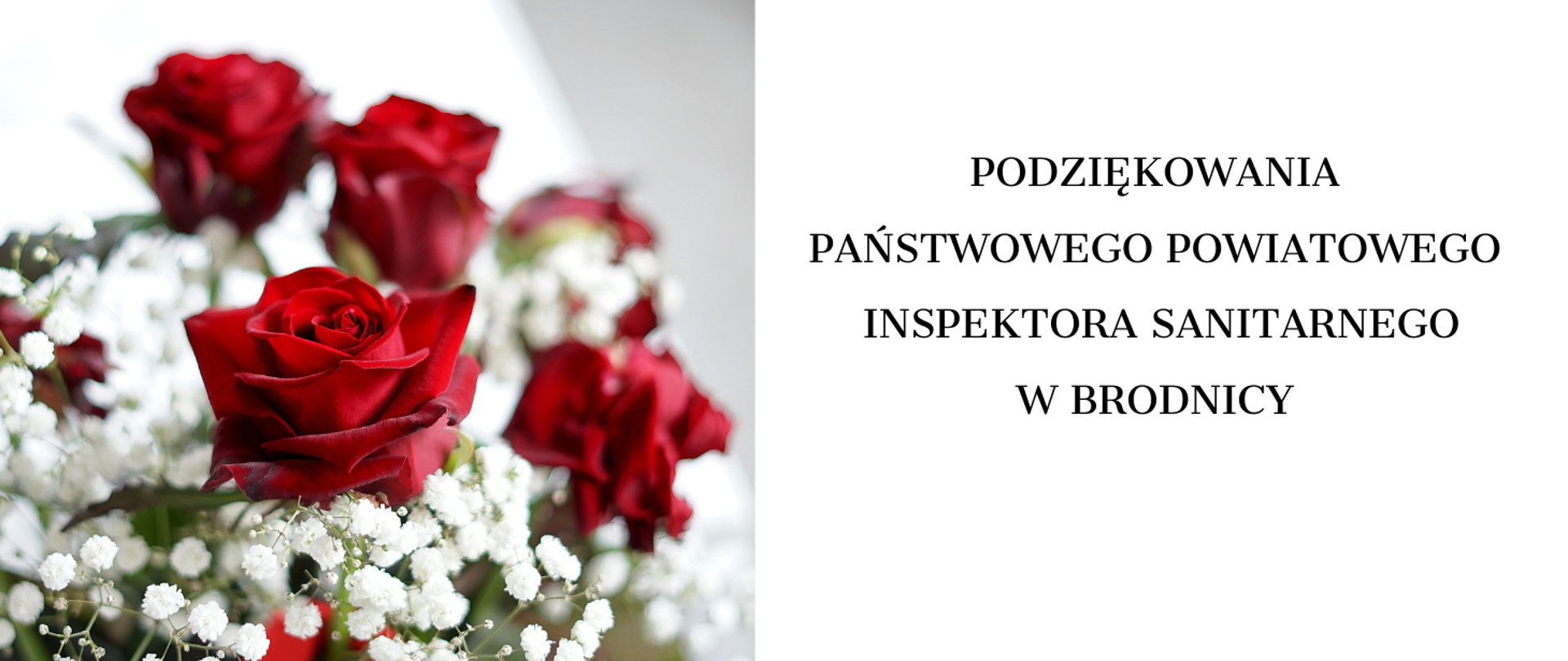 Podziękowania Państwowego Powiatowego Inspektora Sanitarnego w Brodnicy. Bukiet róż. 