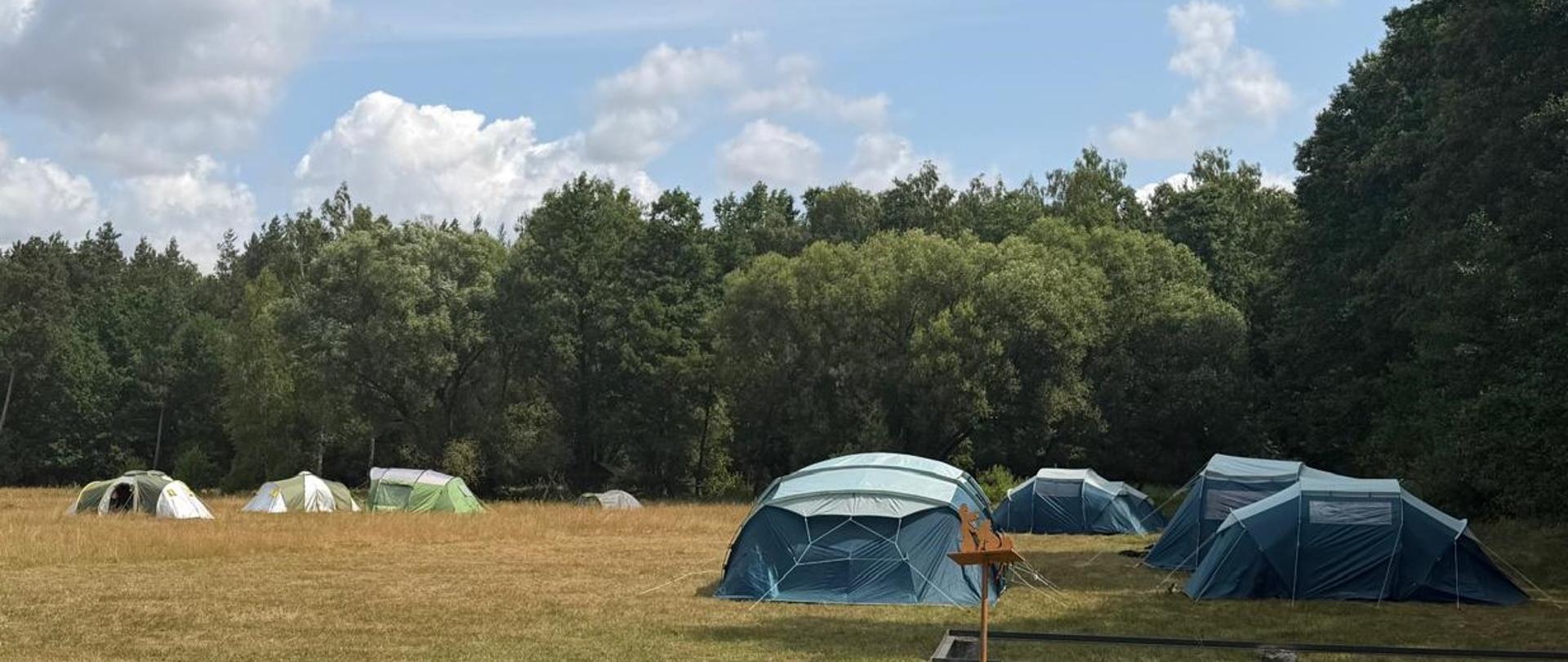 Ten obraz przenosi nas do spokojnego, letniego popołudnia na skraju rozległej łąki. To miejsce, w którym harcerze rozbili swój obóz.
Pierwszy plan (Blisko nas): Po lewej stronie widać fragment drewnianego pomostu lub kładki. Deski są lekko wytarte, co sugeruje częste używanie. Po prawej, wyznaczona niskim metalowym ogrodzeniem lub ramą, znajduje się przestrzeń z kilkoma zabetonowanymi słupkami, być może miejsce na ognisko lub przyszłą konstrukcję. W centralnej części obrazu, na trawie, wznosi się duży, niebiesko-zielony namiot rodzinny o kopułowym kształcie. Jest stabilny i przestronny. Obok niego, na metalowym stojaku, umieszczono małą, rudą rzeźbę – maskotkę lub totem obozu.
Środek obrazu: Dalsza część łąki jest porośnięta suchą, żółto-zieloną trawą. Po lewej stronie w głębi stoi kilka innych namiotów: dwa mniejsze, szaro-białe, i jeden średni, zielony. Wszystkie są schludnie rozstawione. Całe tło zamyka gęsta, ciemnozielona ściana lasu mieszanego, z przewagą sosen i brzóz.
Tło: Nad lasem rozpościera się jasnobłękitne niebo, usiane licznymi, puszystymi białymi chmurami cumulus. Słońce mocno świeci, co widać po jasnych plamach na trawie i chmurach.
Atmosfera: Obraz jest pełen spokoju, ciepła i oczekiwania na przygodę. To cicha, naturalna sceneria, idealna do nauki o bezpieczeństwie w plenerze.