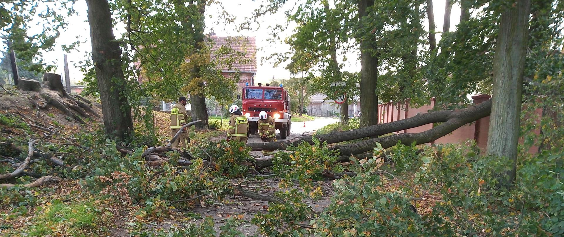 Strażacy tną drzewo, które upadło na drogę