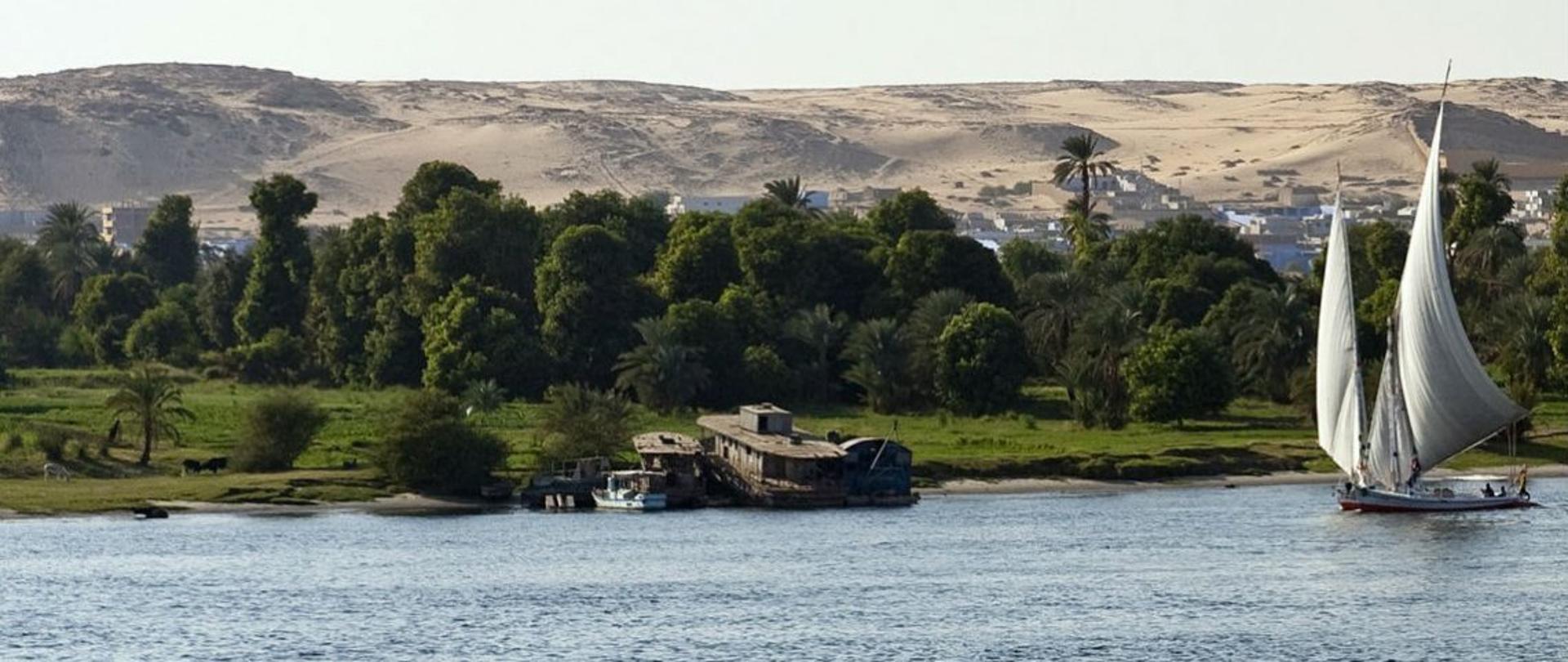 Informacja nt. gorączki zachodniego Nilu dla osób podróżujących po Europie 