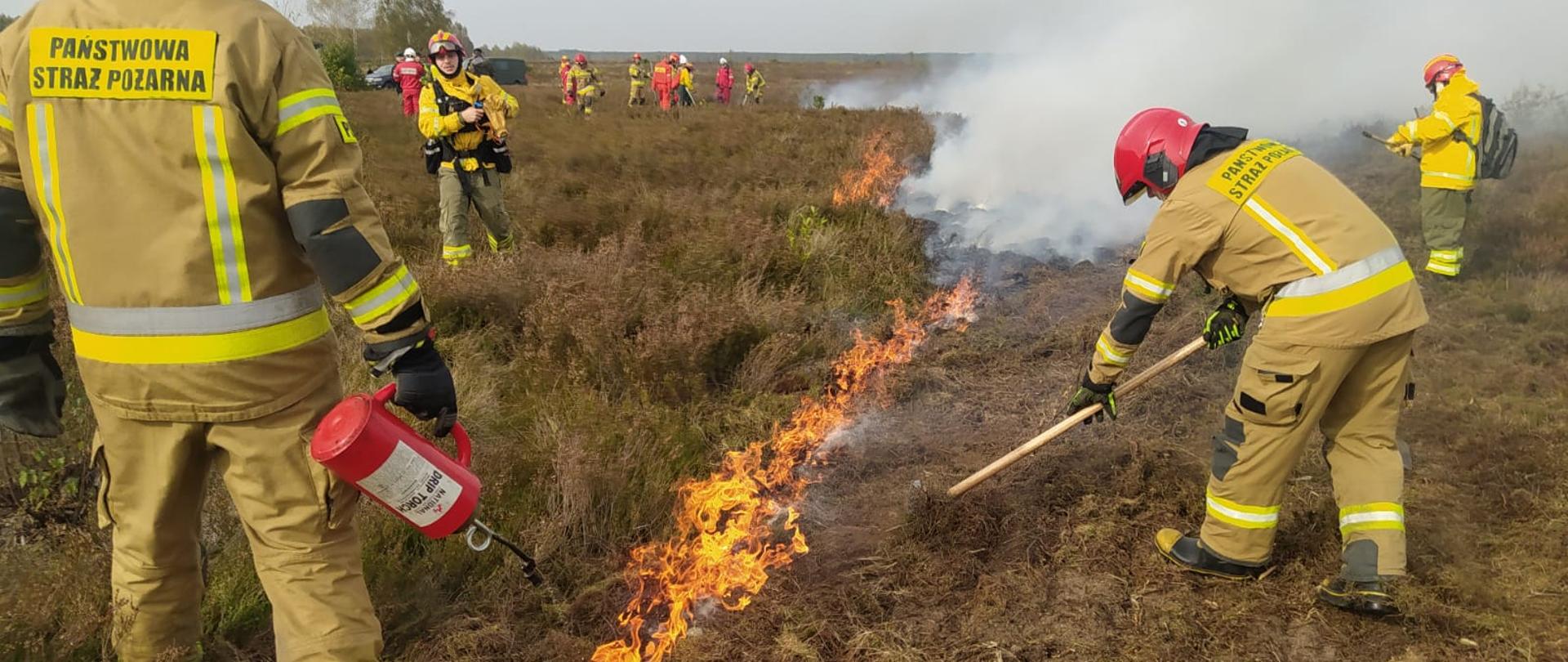 Na łące w rozsypce stoi kilkunastu strażaków obok nich paląca się trawa.