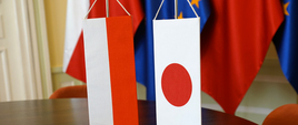 Wizyta Ambasadora Japonii - kadr z proporczykami