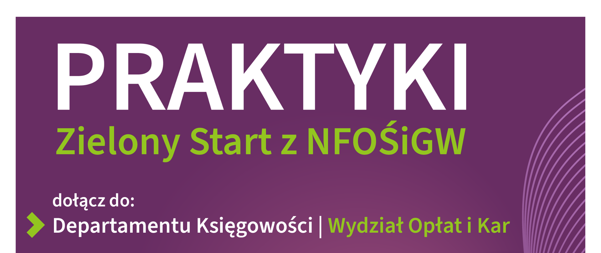 Grafika ilustracyjna. Praktyki w departamencie księgowości w wydziale opłat i kar