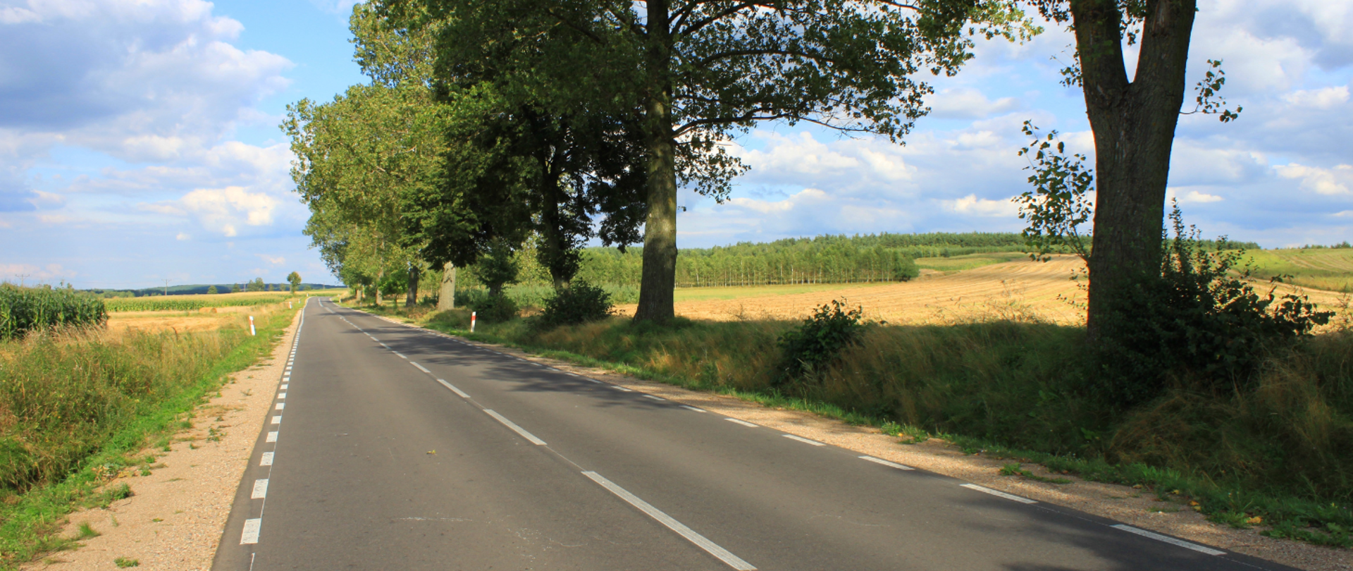 Zdjęcie poglądowe - droga