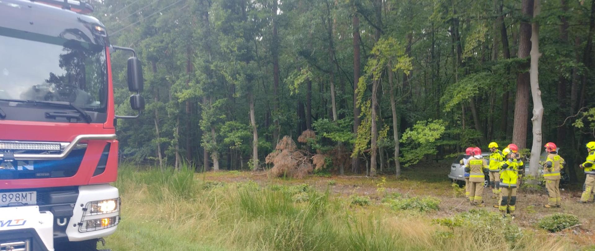 Pojazd PSP oraz strażacy wykonujący czynności przy zdarzeniu drogowym, w tle las.
