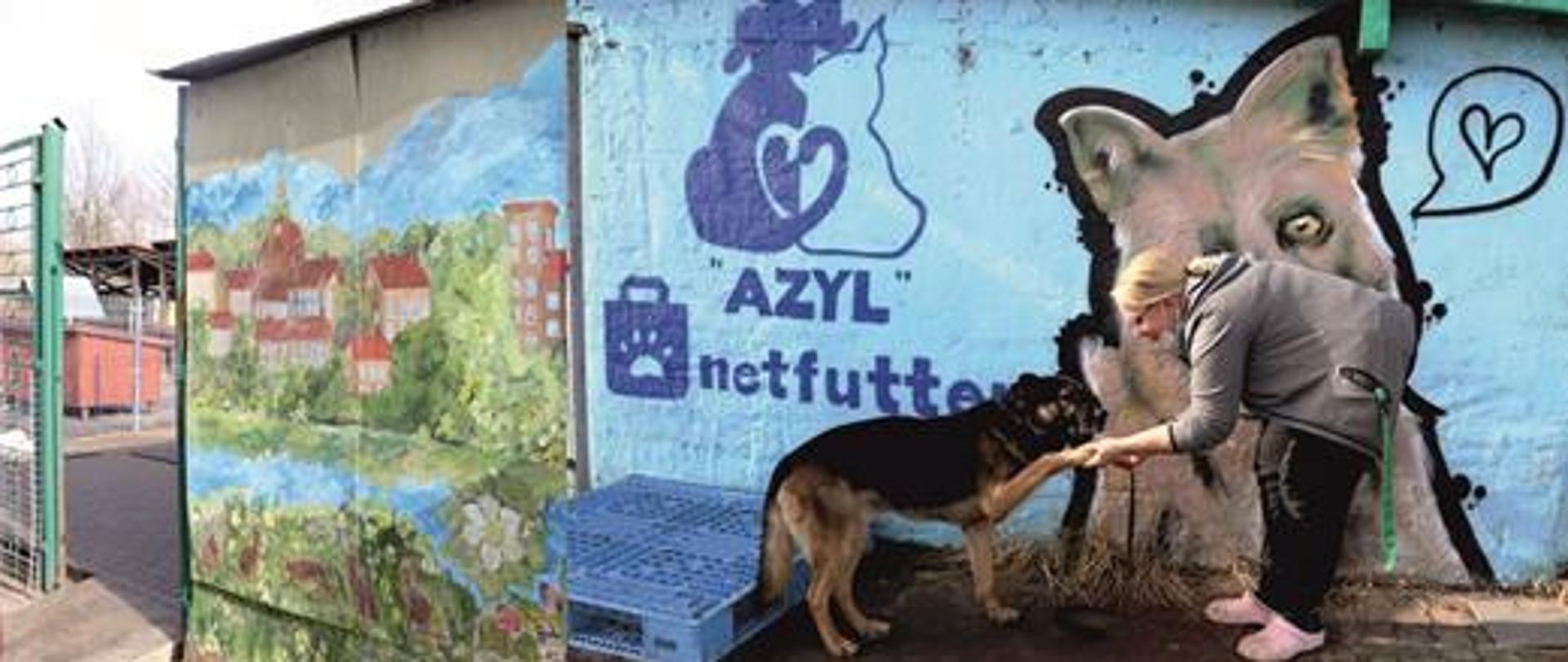 Baner akcji - pomagamy schronisku