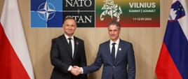 Szczyt NATO w Wilnie 2023