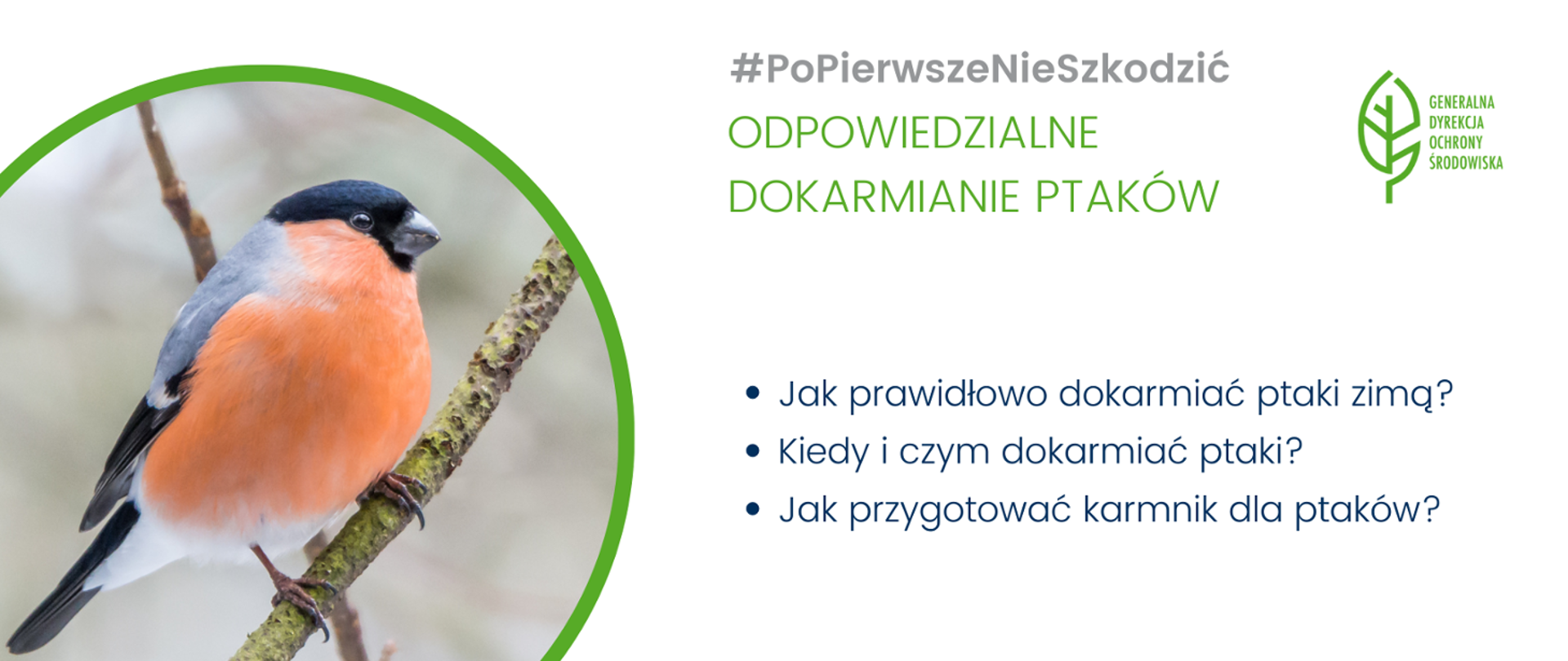 Grafika na białym tle. Po lewej stronie zdjęcie ptaka- gila. Po prawej stronie tekst: Odpowiedzialne dokarmianie ptaków. Jak prawidłowo dokarmiać ptaki zimą? Kiedy i czym dokarmiać ptaki? Jak przygotować karmnik dla ptaków?