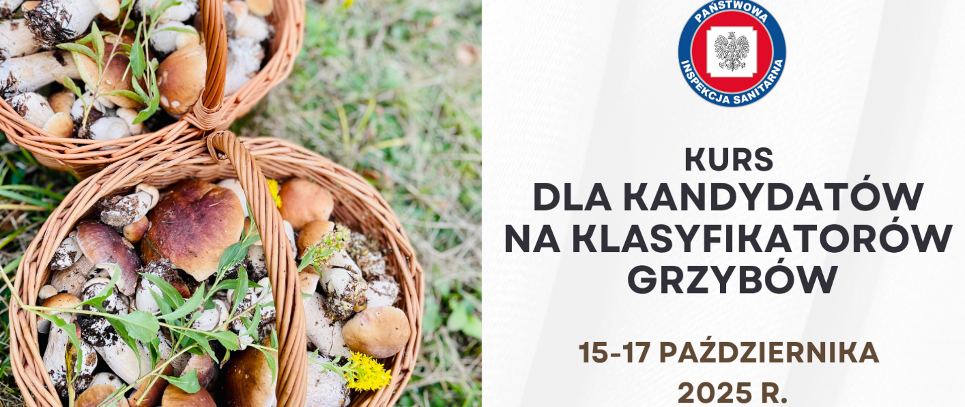 Informacja_dotycząca_kursu_na_klasyfikatora_grzybów