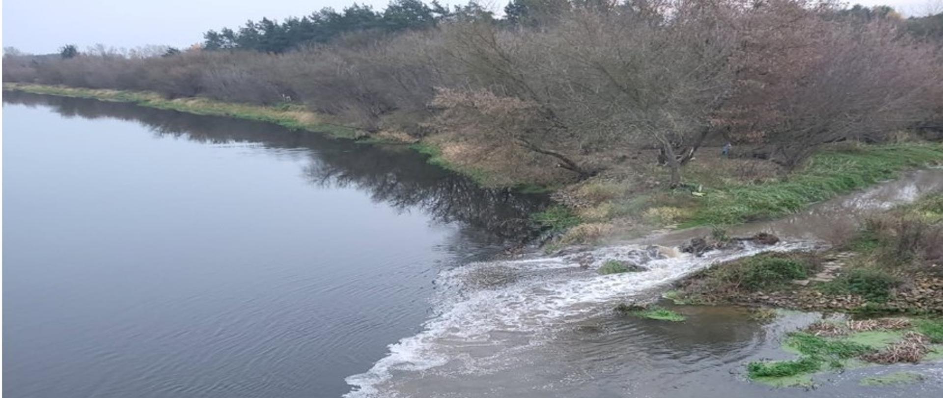 Brzeg rzeki porośnięty niskimi drzewami. Do niebieskiego nurty wpływa z wylotu na brzegu spieniona, brązowa ciecz.