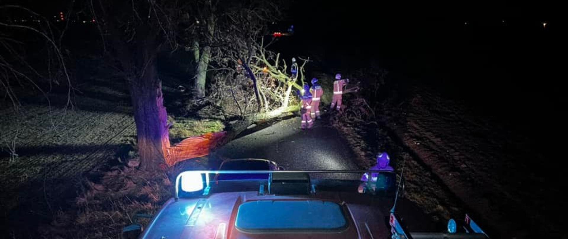 Strażacy za pomocą pilarek do drewna usuwają powalone drzewo na drogę.