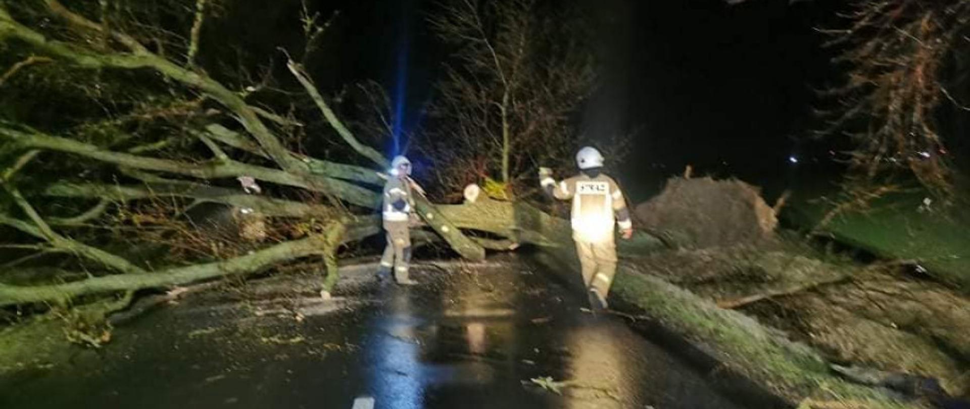 Dwóch strażaków usuwa powalone drzewo na drodze.