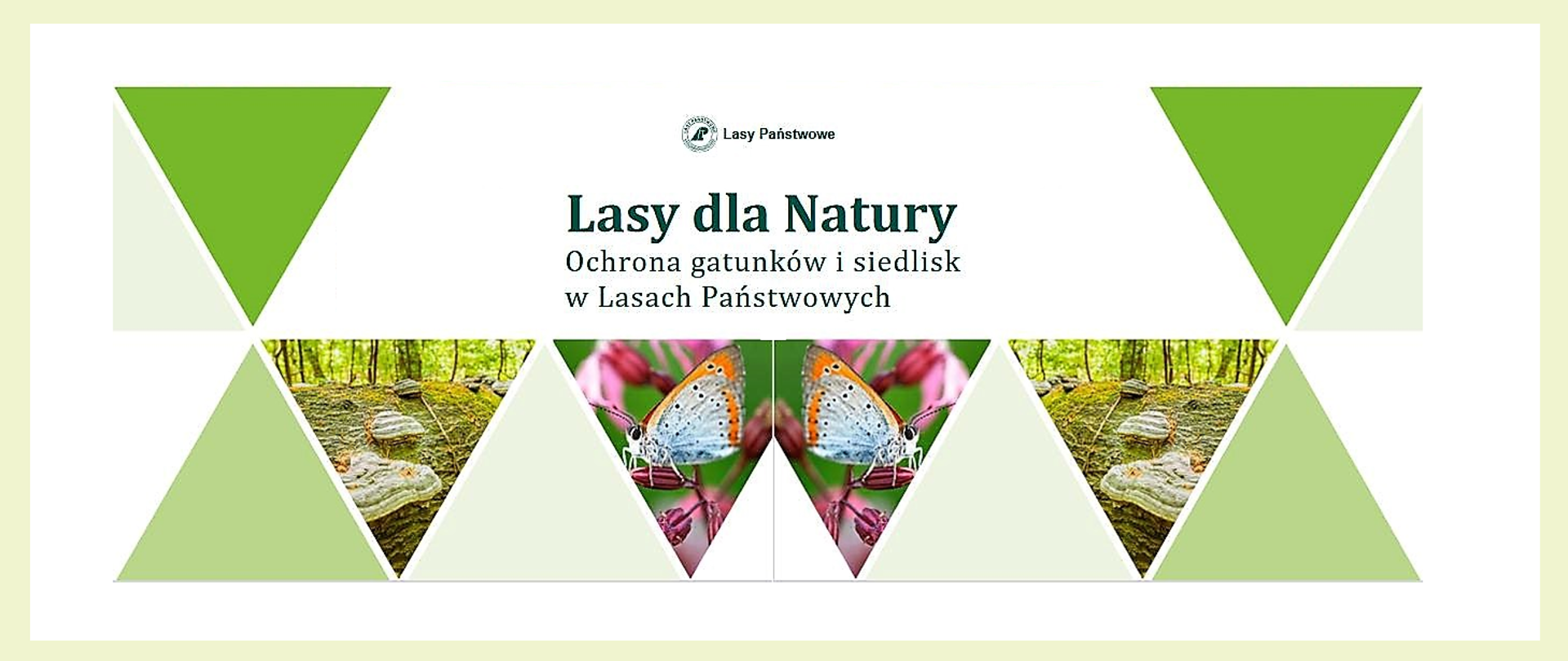 Publikacja „Lasy dla Natury” promująca działania Lasów Państwowych na rzecz ochrony gatunków i siedlisk na obszarach Natura 2000, które są wykonywane w ramach „Kompleksowego projektu ochrony gatunków i siedlisk przyrodniczych na obszarach zarządzanych przez PGL Lasy Państwowe”