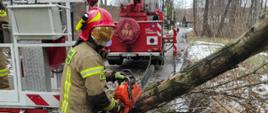 mikołowscy strażacy usuwają skutki silnego wiatru