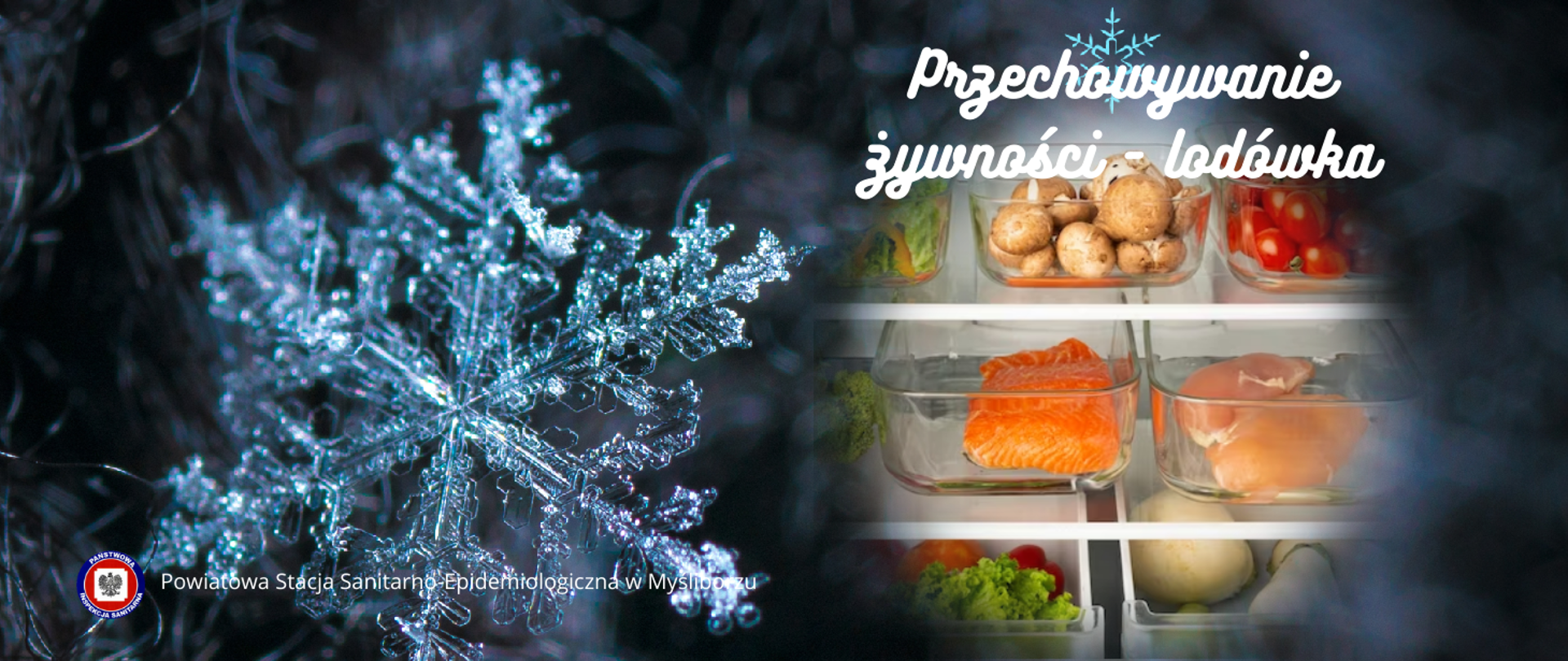 Baner Przechowywanie żywności - lodówka