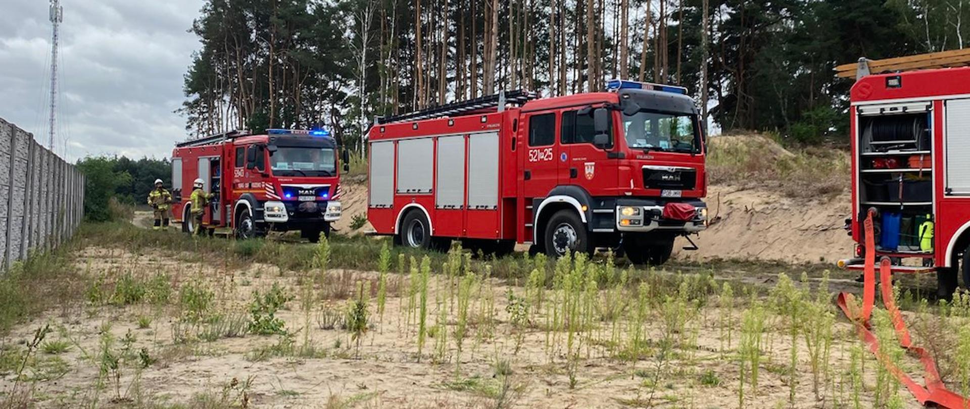 Zastępy na ćwiczeniach