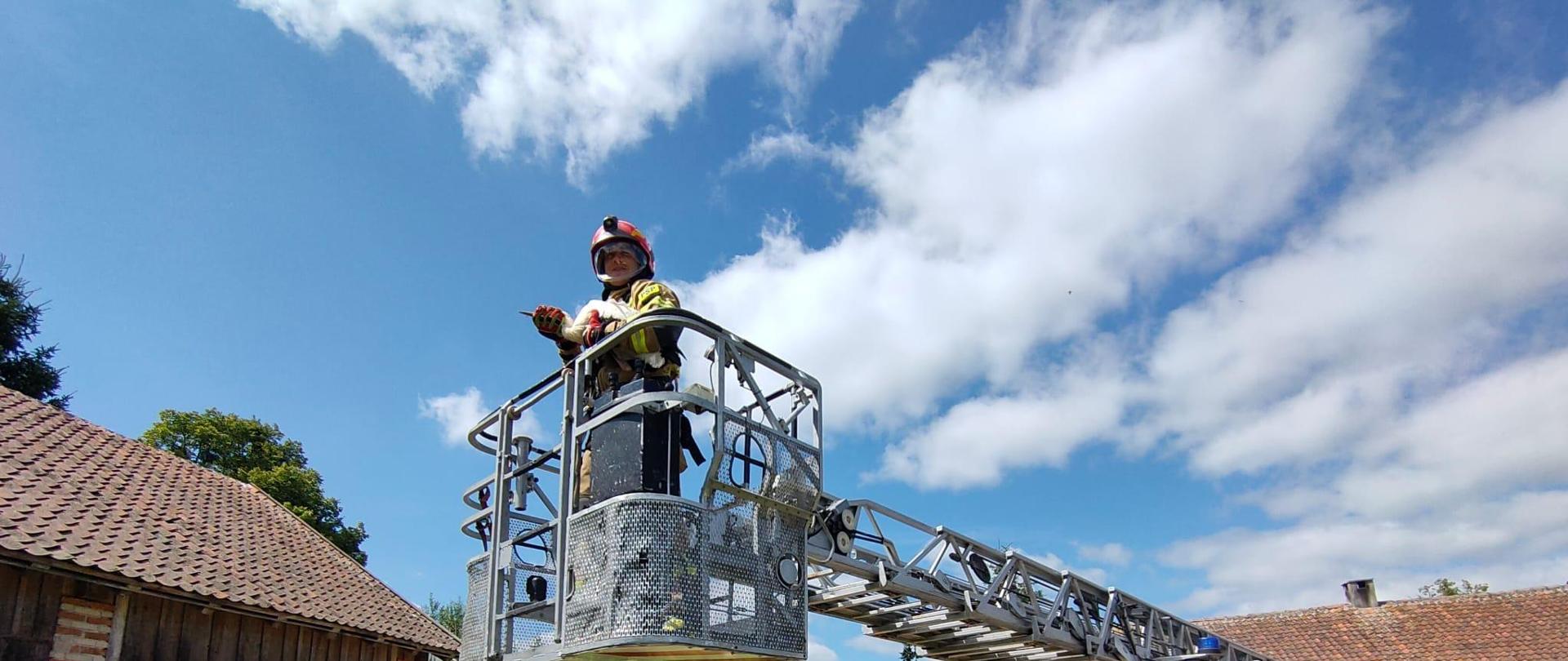 Przy budynku gospodarczym stoi rozstawiona mechaniczna drabina strażacka. W koszu drabiny strażak, który trzyma w rękach młodego bociana. Pogodnie, niebieskie niebo i białe chmury.