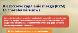 Kleszczowe zapalenie mózgu (KZM)