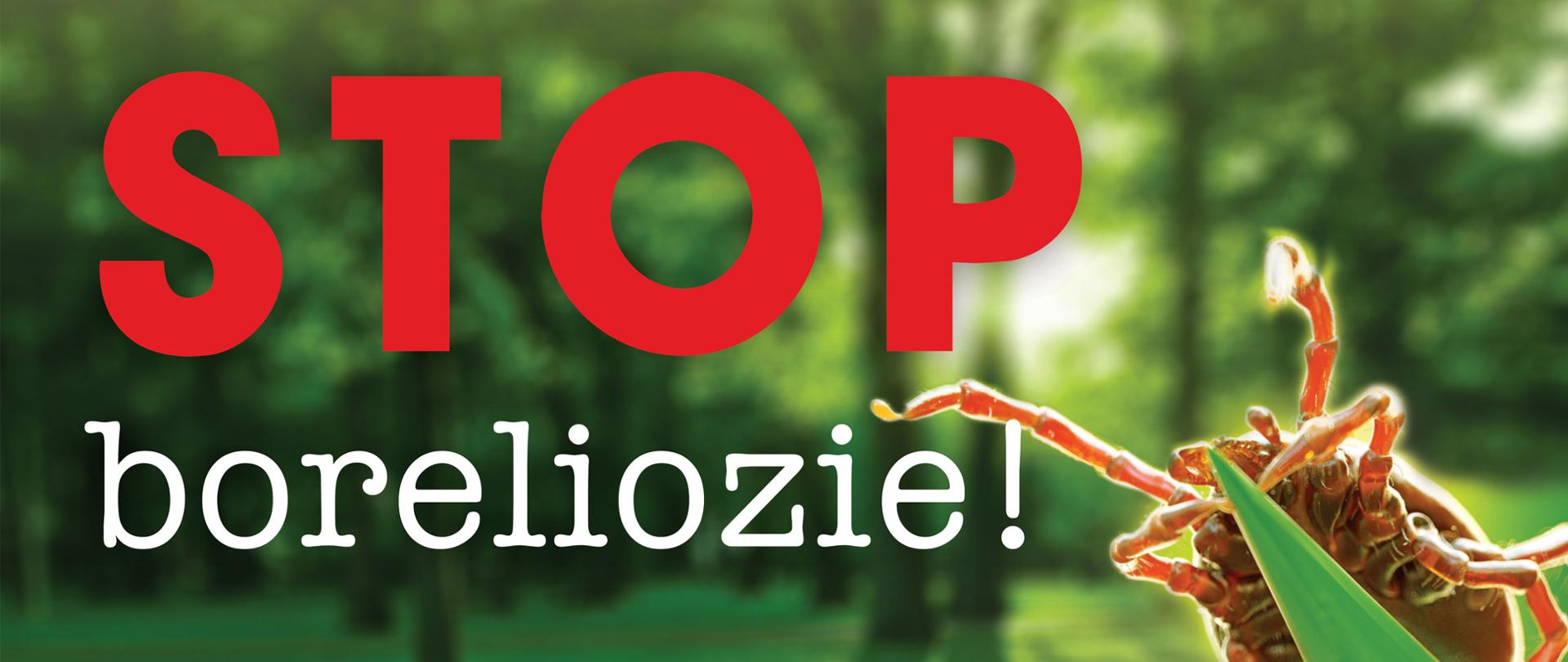 STOP boreliozie!